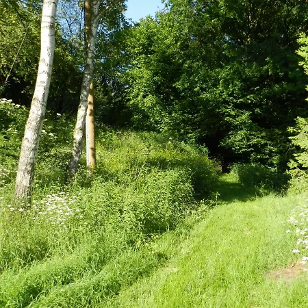 Eco Village * Auen (Bad Kreuznach)